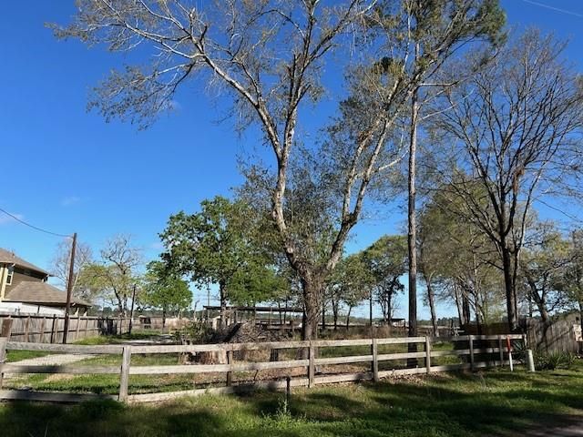 24636 Canterbury Circle, Hockley, TX 77447