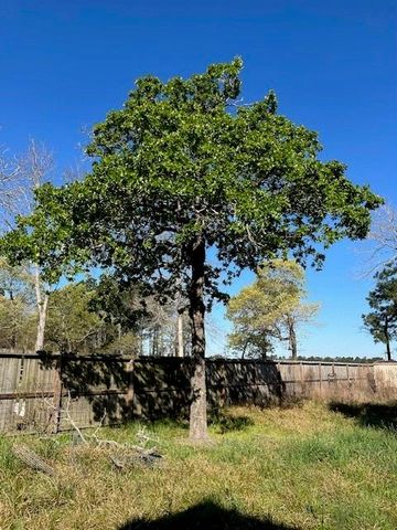 24636 Canterbury Circle, Hockley, TX 77447