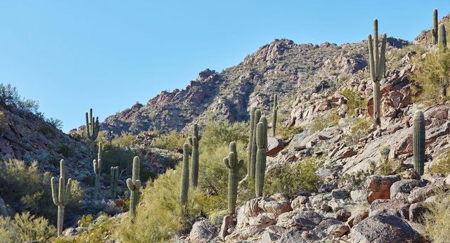 4849 N Camelback Ridge Road B405, Scottsdale, AZ 85251