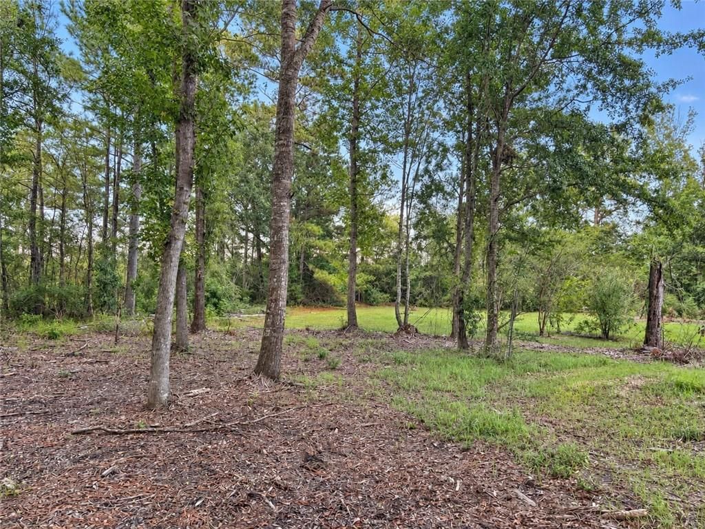 0 Denny Street, Mount Vernon, AL 36560 — photo 2