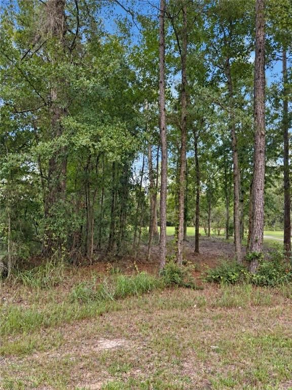 0 Denny Street, Mount Vernon, AL 36560 — photo 4