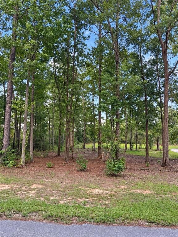 0 Denny Street, Mount Vernon, AL 36560 — photo 5