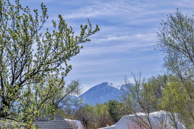 2664 Kayne Avenue, Minden, NV 89423