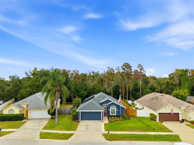 28907 BAY TREE PLACE, Wesley Chapel, FL 33545