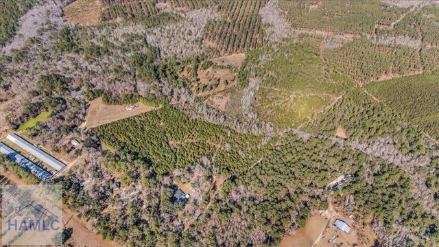 128 William Smith Lane NE, Ludowici, GA 31316