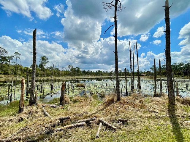 349 SEMINOLE WOODS BLVD, Geneva, FL 32732