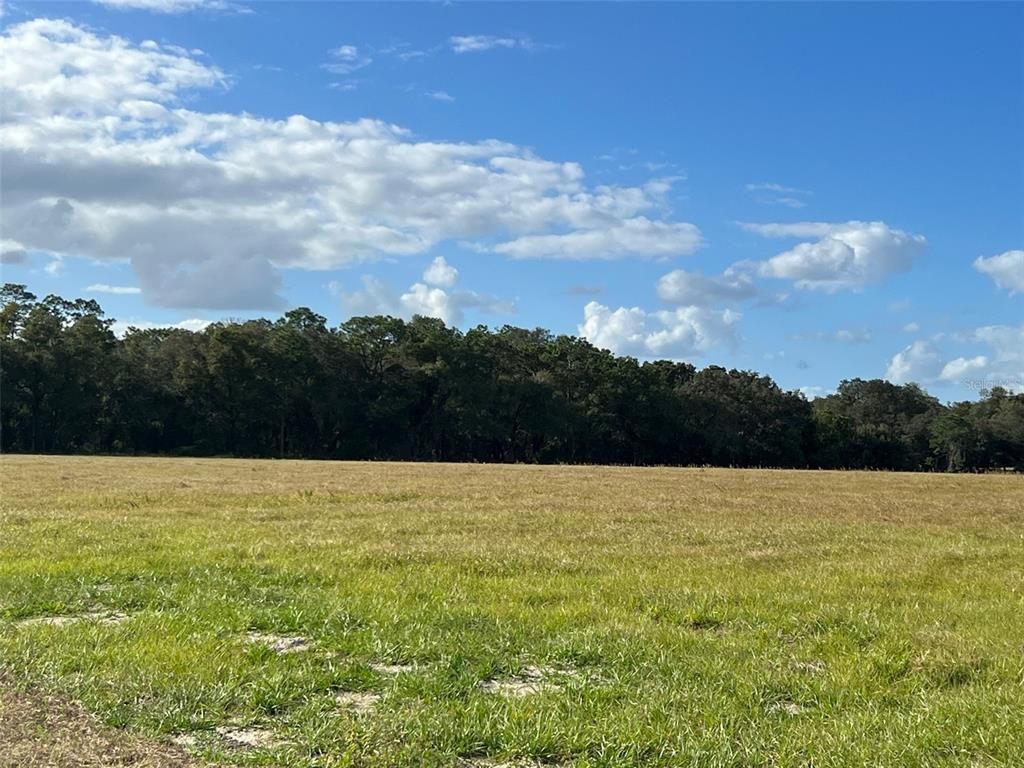 TBD SE 74TH LANE ROAD, Ocklawaha, FL 32179