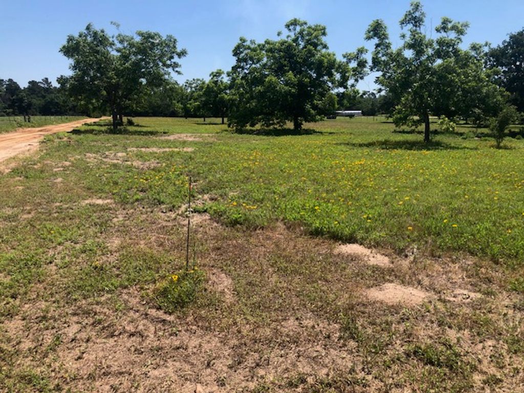 0000 Henry Prairie RD Henry Prairie Rd County Road, Franklin, TX 77856 — photo 4