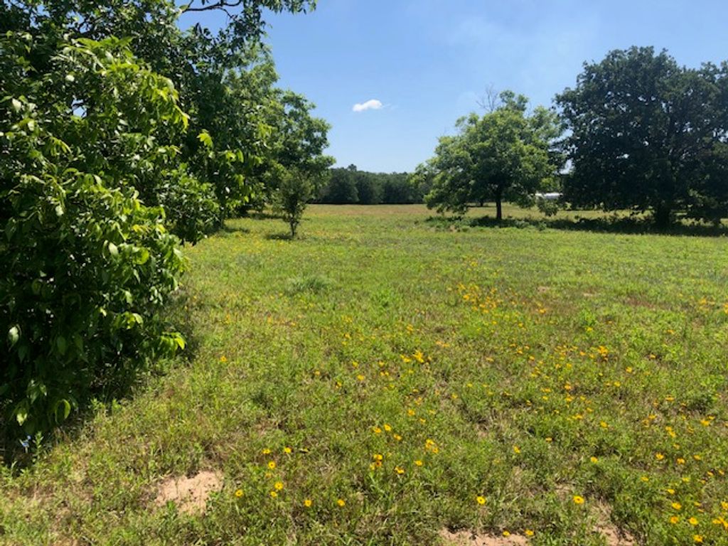 0000 Henry Prairie RD Henry Prairie Rd County Road, Franklin, TX 77856 — photo 5