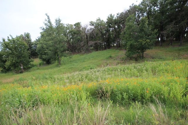 174 Hansma Way, Weatherford, TX 76087