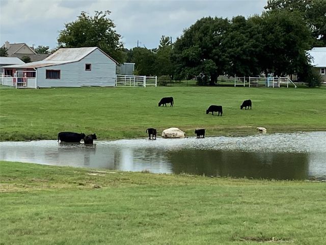 2196 Bledsoe Road, Gunter, TX 75058