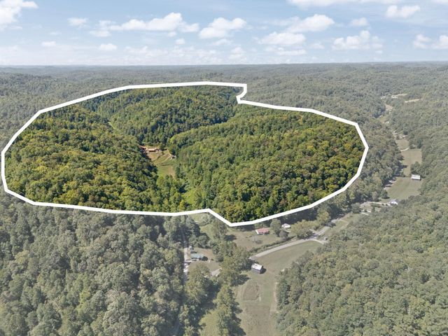 270 Left Fork Holly Road, Sextons Creek, KY 40983