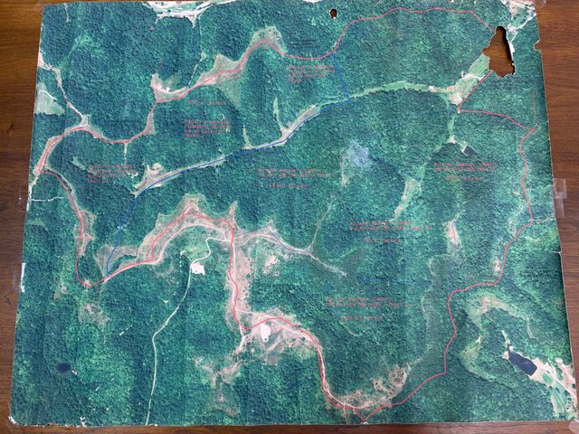 270 Left Fork Holly Road, Sextons Creek, KY 40983