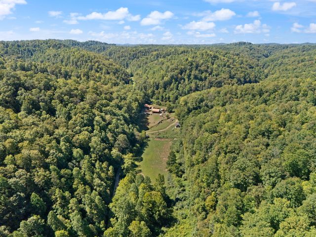 270 Left Fork Holly Road, Sextons Creek, KY 40983