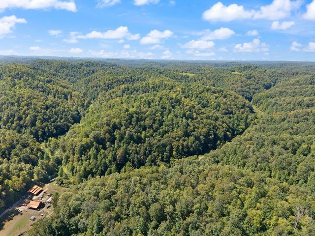 270 Left Fork Holly Road, Sextons Creek, KY 40983