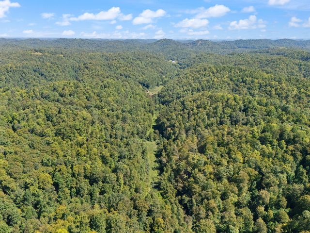 270 Left Fork Holly Road, Sextons Creek, KY 40983