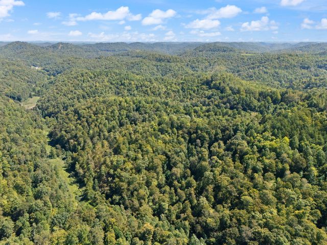 270 Left Fork Holly Road, Sextons Creek, KY 40983
