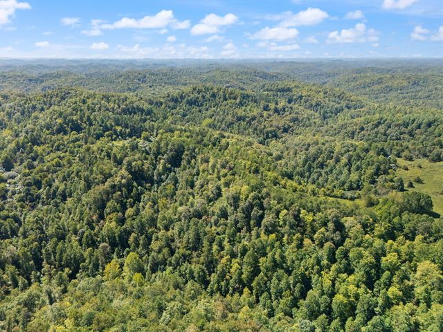 270 Left Fork Holly Road, Sextons Creek, KY 40983