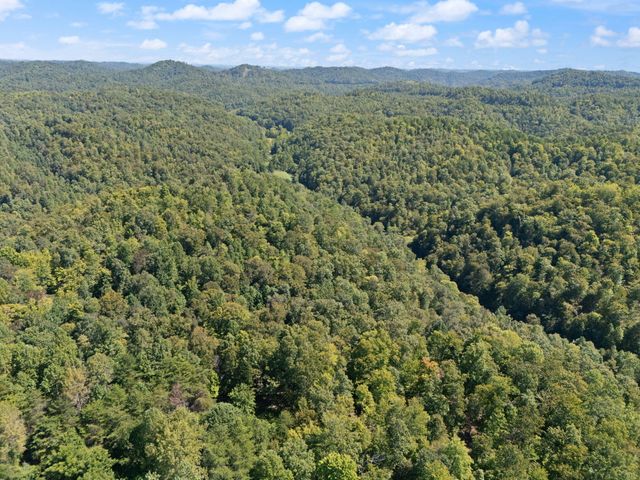 270 Left Fork Holly Road, Sextons Creek, KY 40983