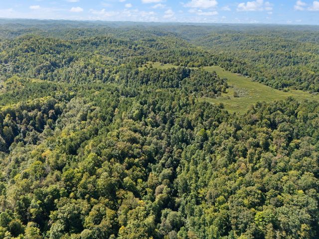 270 Left Fork Holly Road, Sextons Creek, KY 40983