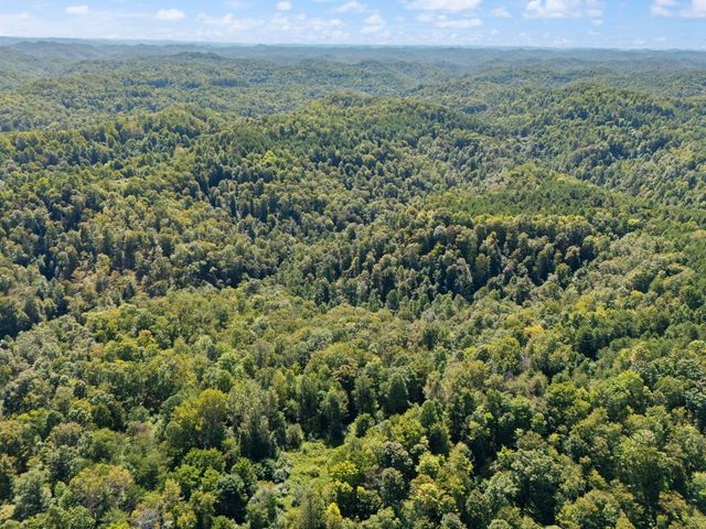 270 Left Fork Holly Road, Sextons Creek, KY 40983