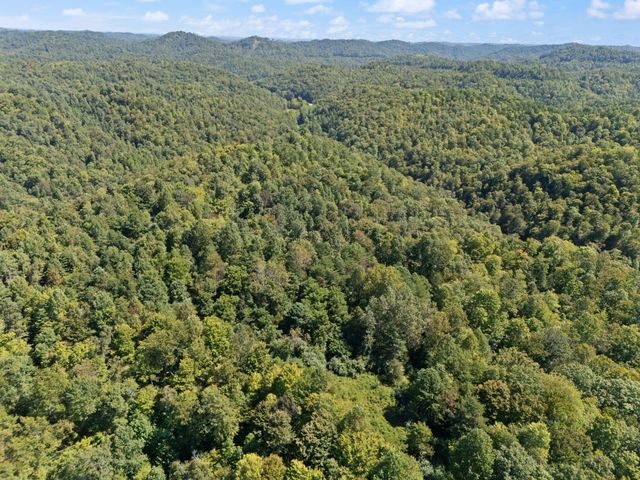 270 Left Fork Holly Road, Sextons Creek, KY 40983