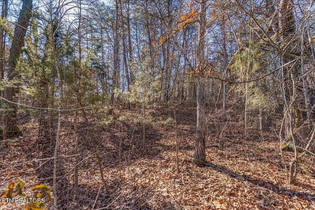 736 Panther Creek Rd Off Rd, Sevierville, TN 37876