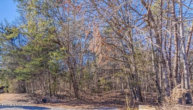 736 Panther Creek Rd Off Rd, Sevierville, TN 37876