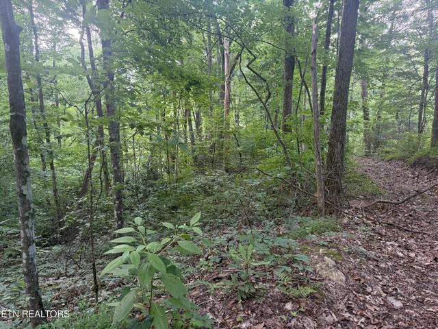 736 Panther Creek Rd Off Rd, Sevierville, TN 37876