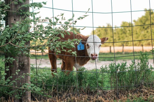 27008 W State Road 61, Langdon, KS 67583