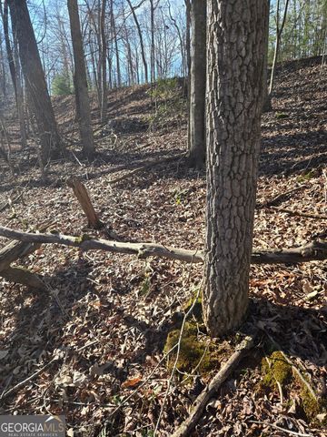 LOT 59 River Ridge Drive, Blue Ridge, GA 30513