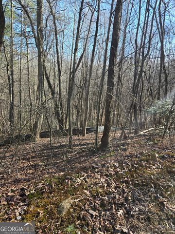 LOT 59 River Ridge Drive, Blue Ridge, GA 30513