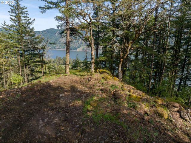 476 COUNTRY CLUB Rd, Hood River, OR 97031