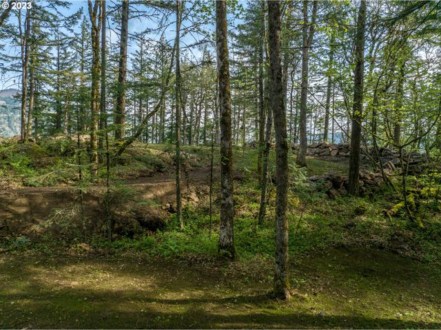 476 COUNTRY CLUB Rd, Hood River, OR 97031