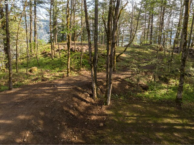 476 COUNTRY CLUB Rd, Hood River, OR 97031