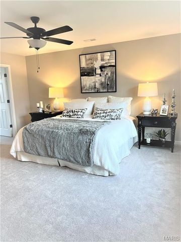 231 Burrograss Drive, Wentzville, MO 63385