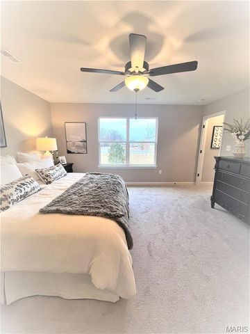 231 Burrograss Drive, Wentzville, MO 63385