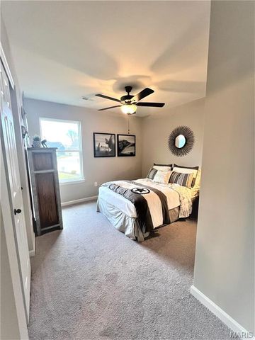 231 Burrograss Drive, Wentzville, MO 63385