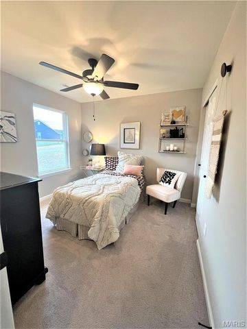 231 Burrograss Drive, Wentzville, MO 63385