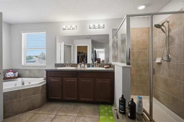 21213 PASSIVE PORCH DRIVE, Land O Lakes, FL 34637