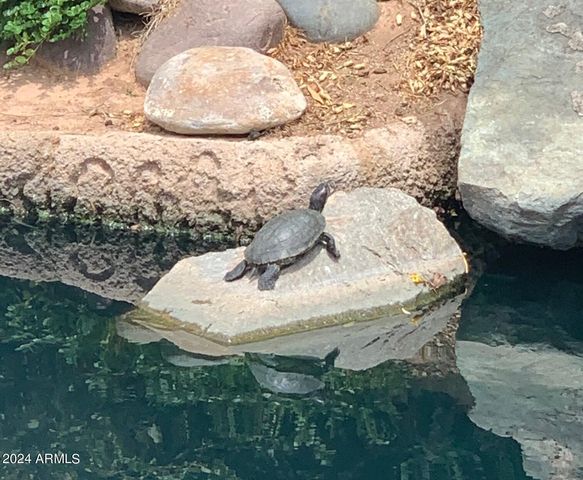 514 S MARINA Drive, Gilbert, AZ 85233