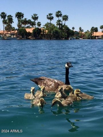 514 S MARINA Drive, Gilbert, AZ 85233