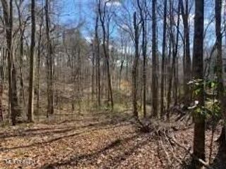 Lot 12 Turkey Creek Road, Natchez, MS 39120