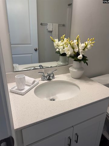 709 Pink Rose, Elgin, SC 29045