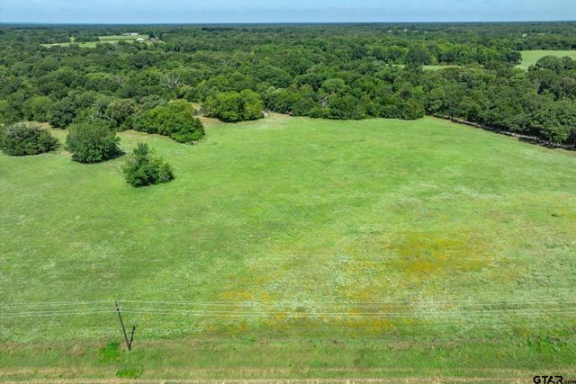 Lot 2 State Highway 19, Emory, TX 75440