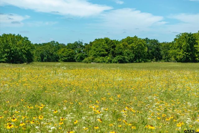 Lot 2 State Highway 19, Emory, TX 75440