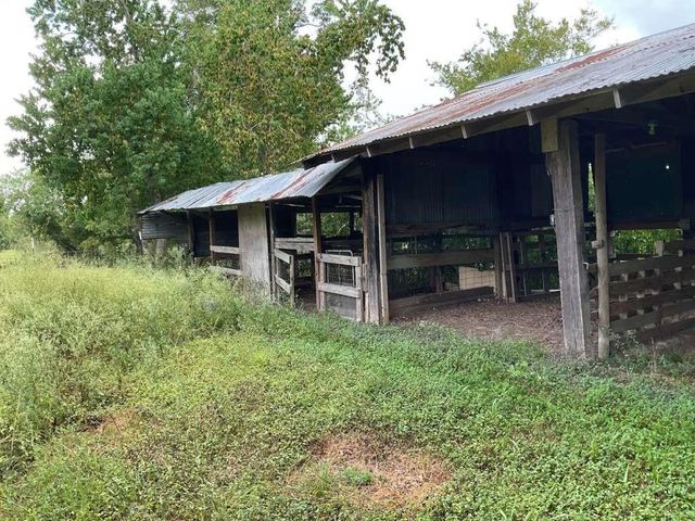 2832 County Road 310, Brazoria, TX 77422