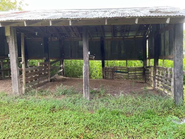 2832 County Road 310, Brazoria, TX 77422