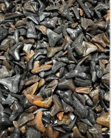 15260 LEIPZIG CIRCLE, Port Charlotte, FL 33981