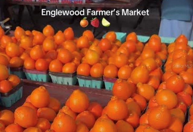 15260 LEIPZIG CIRCLE, Port Charlotte, FL 33981